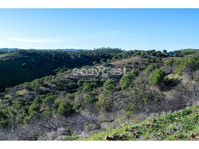 Terreno Agricola ou Rústico para Venda em Vila Nova de Cacela Foto 22