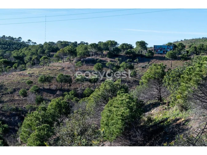 Terreno Agricola ou Rústico para Venda em Vila Nova de Cacela Foto 23