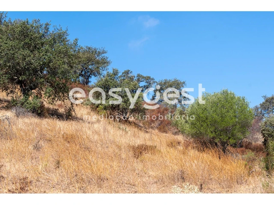Terreno Agricola ou Rústico para Venda em Alcoutim e Pereiro Foto 5