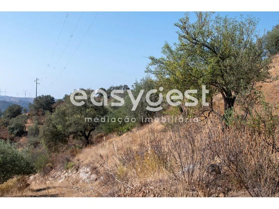 Terreno Agricola ou Rústico para Venda em Alcoutim e Pereiro Foto 6