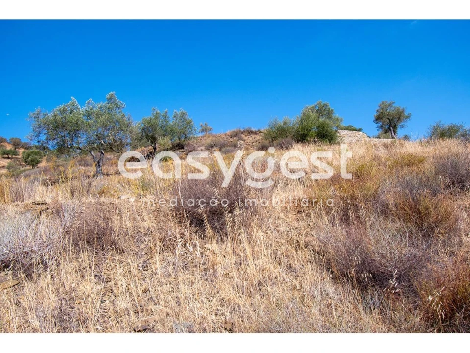 Terreno Agricola ou Rústico para Venda em Alcoutim e Pereiro Foto 19