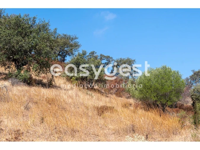 Terreno Agricola ou Rústico para Venda em Alcoutim e Pereiro Foto 5