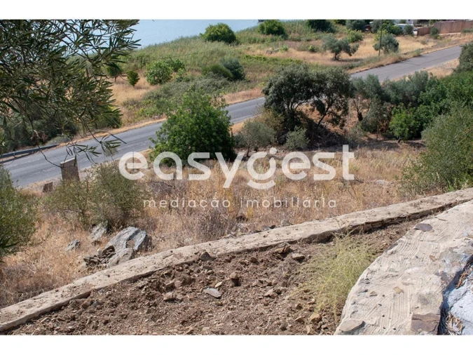 Terreno Agricola ou Rústico para Venda em Alcoutim e Pereiro Foto 10