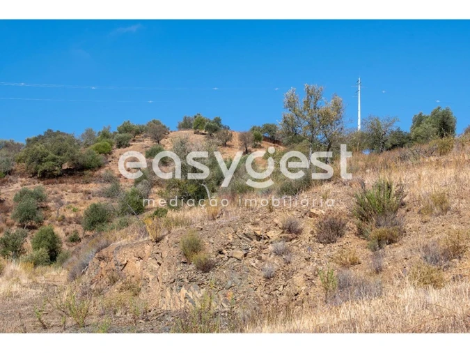Terreno Agricola ou Rústico para Venda em Alcoutim e Pereiro Foto 12