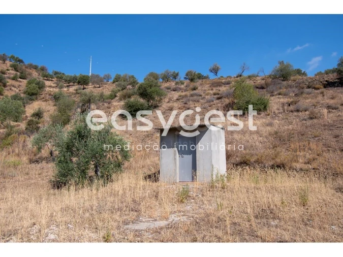 Terreno Agricola ou Rústico para Venda em Alcoutim e Pereiro Foto 15