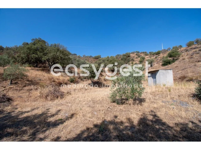 Terreno Agricola ou Rústico para Venda em Alcoutim e Pereiro Foto 17