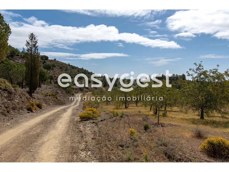 Terreno para Venda em Odeleite Foto 4