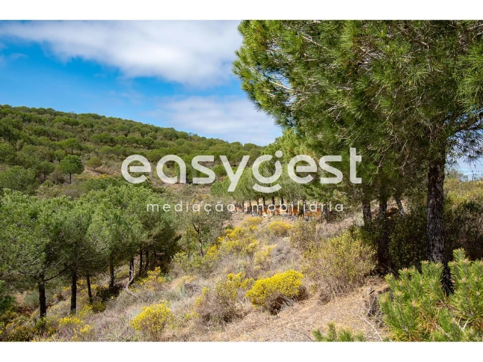 Terreno para Venda em Odeleite Foto 9