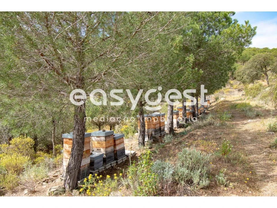 Terreno para Venda em Odeleite Foto 10