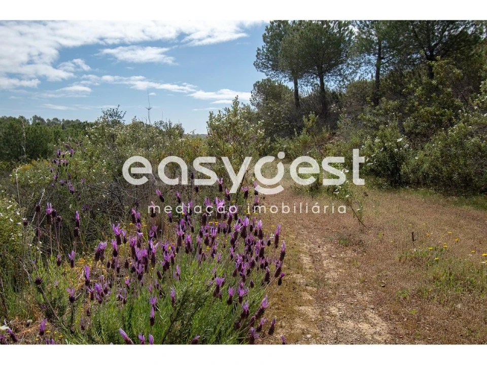 Terreno para Venda em Odeleite Foto 11