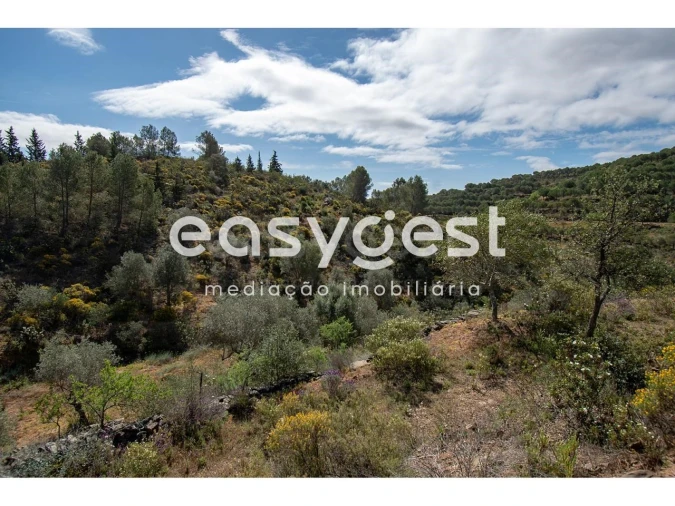 Terreno para Venda em Odeleite Foto 8