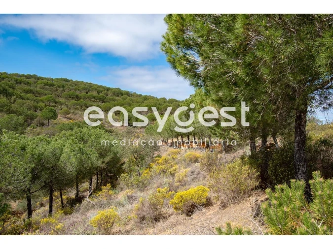 Terreno para Venda em Odeleite Foto 9