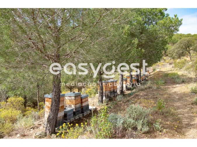 Terreno para Venda em Odeleite Foto 10