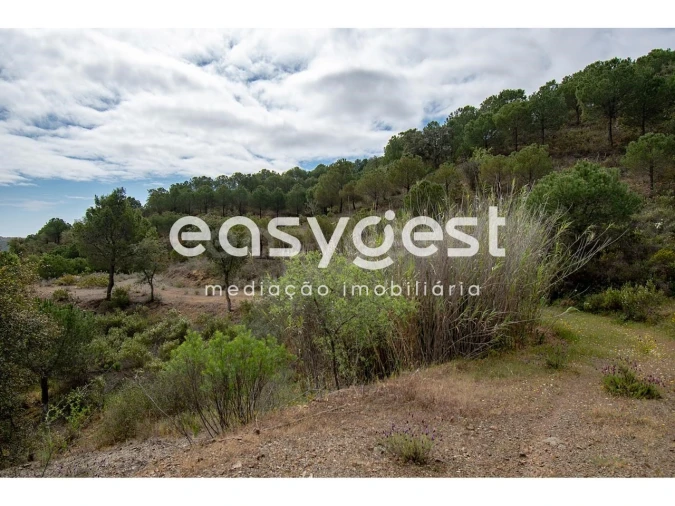 Terreno para Venda em Odeleite Foto 14