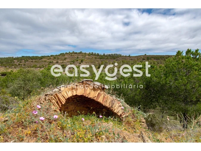 Terreno para Venda em Odeleite Foto 16