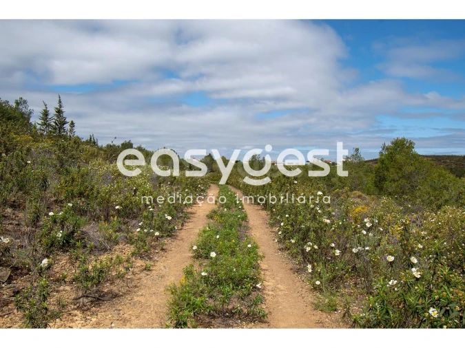 Terreno para Venda em Odeleite Foto 17