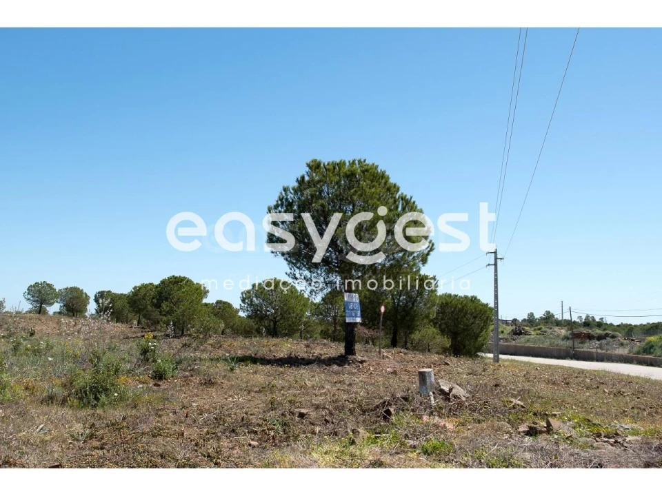 Terreno Agricola ou Rústico para Venda em Azinhal Foto 1