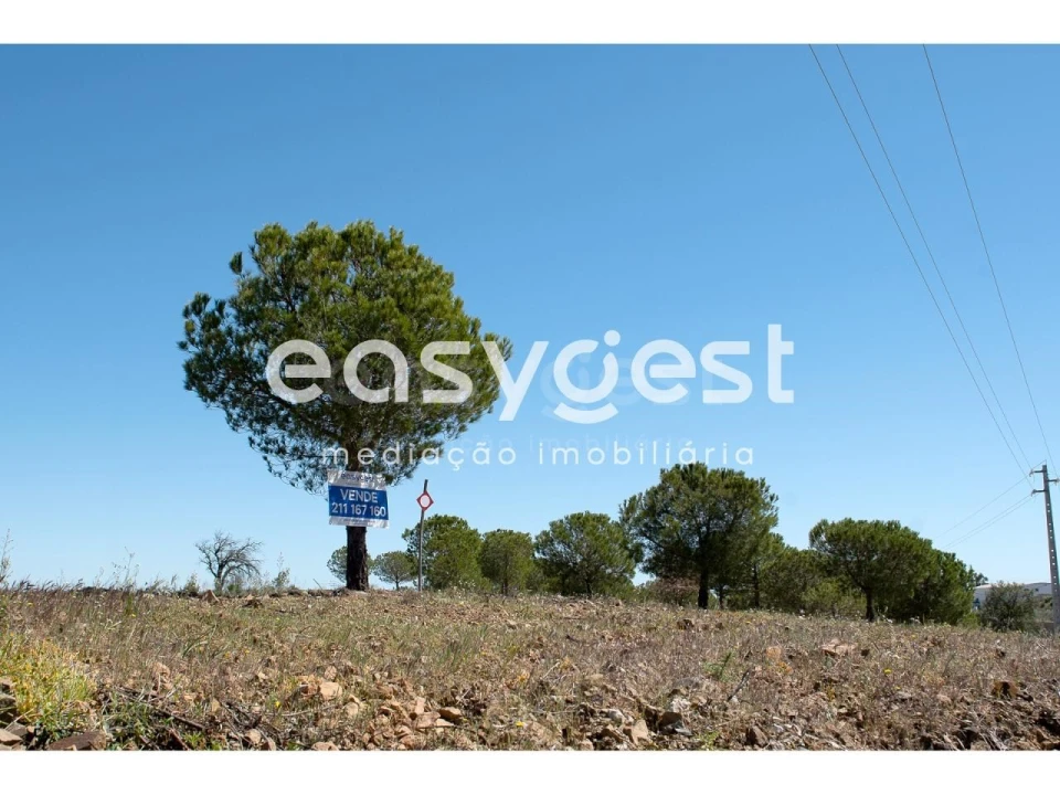 Terreno Agricola ou Rústico para Venda em Azinhal Foto 2