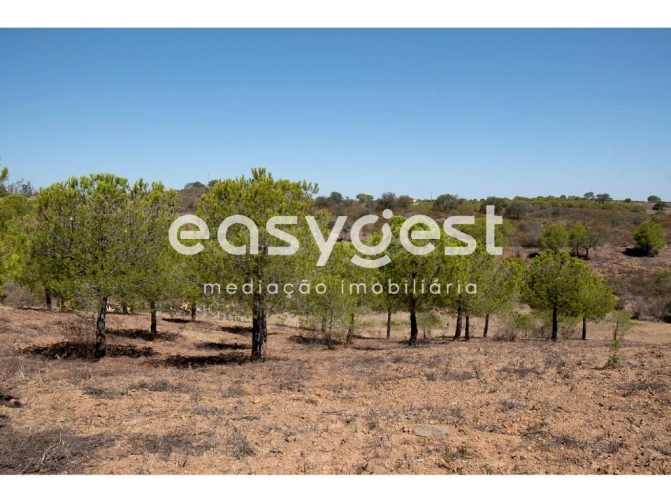 Terreno Agricola ou Rústico para Venda em Azinhal Foto 7