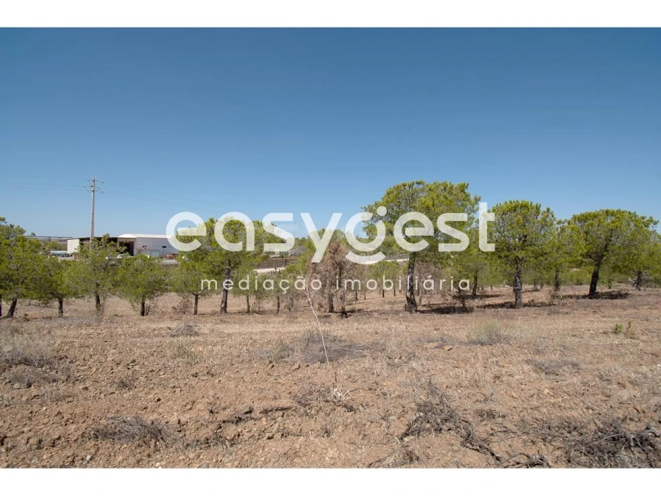 Terreno Agricola ou Rústico para Venda em Azinhal Foto 10