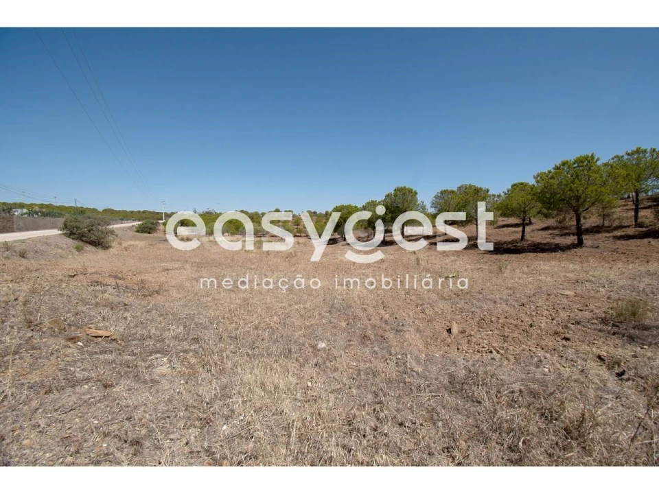 Terreno Agricola ou Rústico para Venda em Azinhal Foto 12