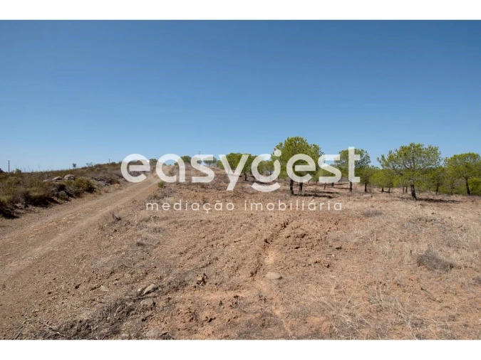 Terreno Agricola ou Rústico para Venda em Azinhal Foto 4