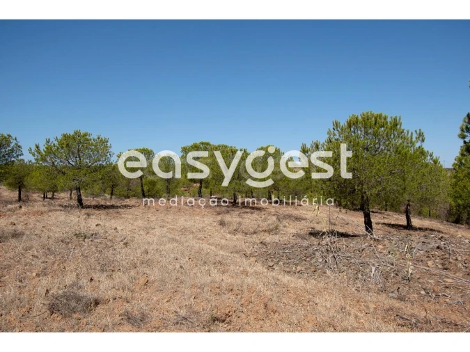Terreno Agricola ou Rústico para Venda em Azinhal Foto 5