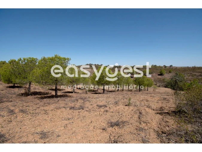 Terreno Agricola ou Rústico para Venda em Azinhal Foto 9