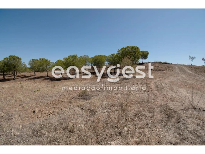 Terreno Agricola ou Rústico para Venda em Azinhal Foto 13
