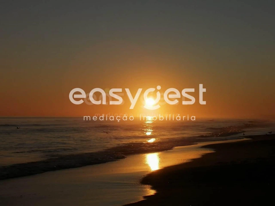 Loja para Venda em Altura Foto 23