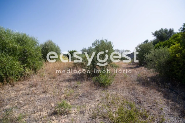 Terreno Misto para Venda em Moncarapacho e Fuseta Foto 4