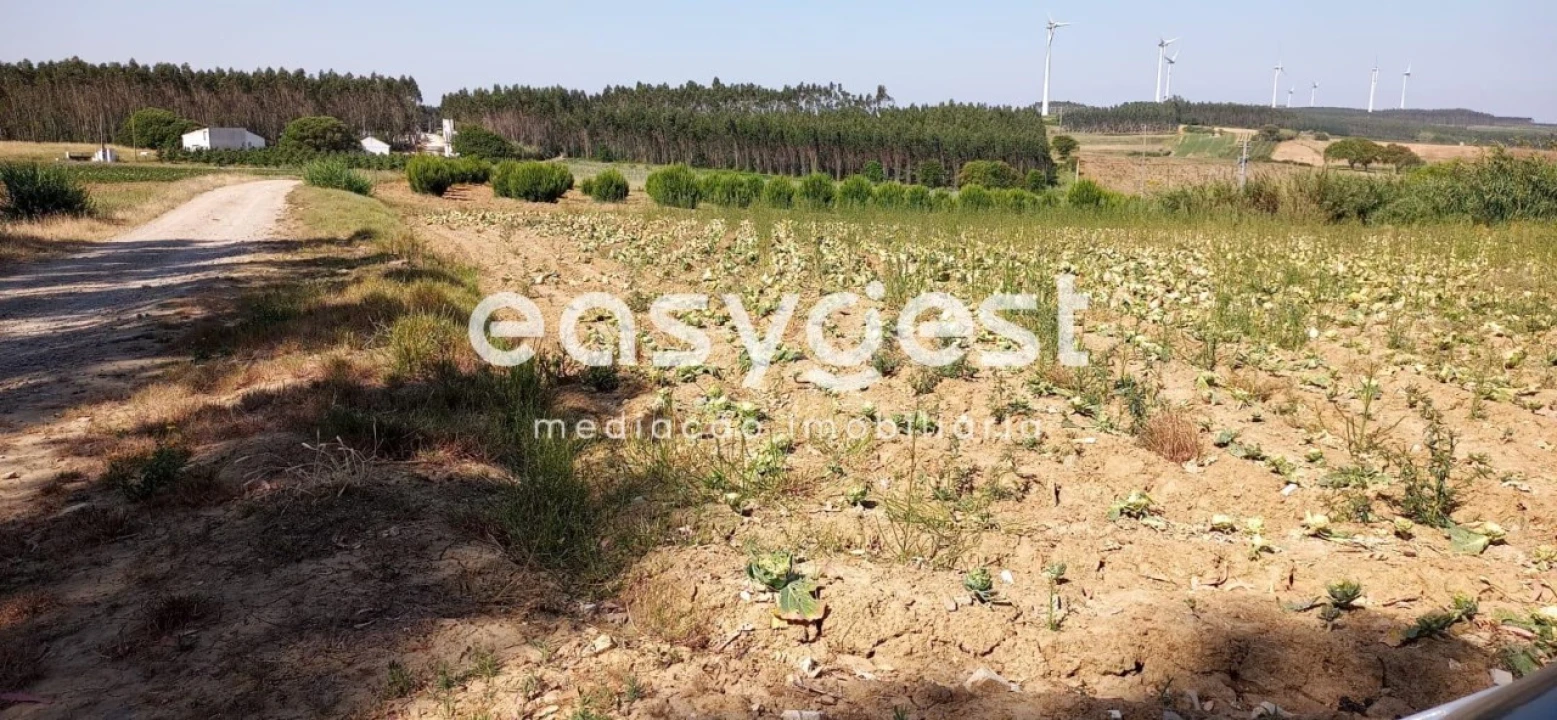 Terreno Agricola ou Rústico para Venda em Reguengo Grande Foto 2