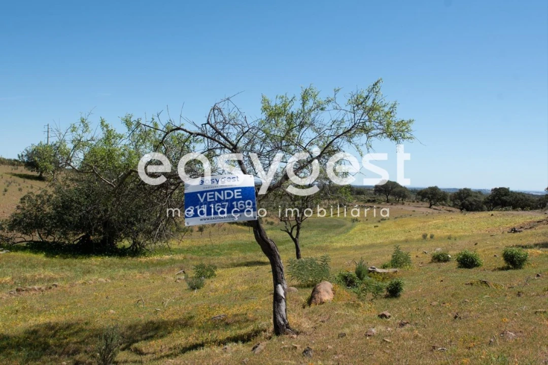 Terreno para Venda em Azinhal Foto 1