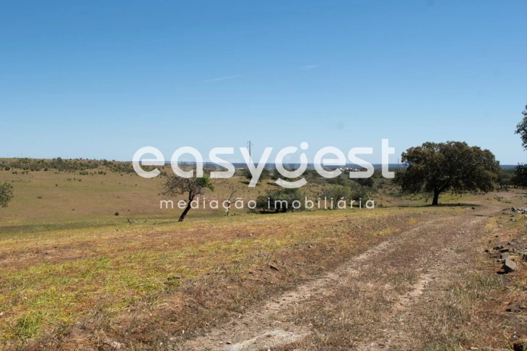 Terreno para Venda em Azinhal Foto 3