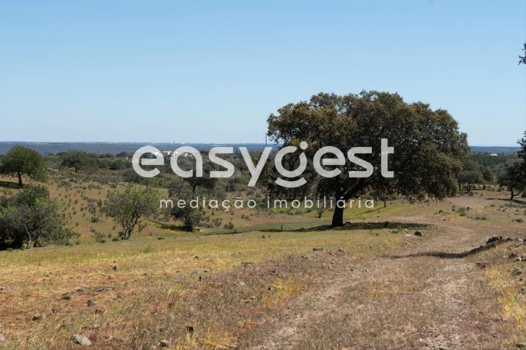 Terreno para Venda em Azinhal Foto 4