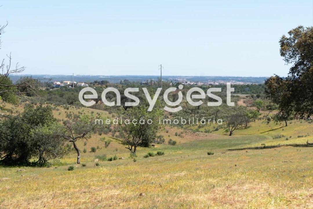 Terreno para Venda em Azinhal Foto 6