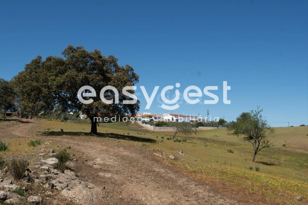 Terreno para Venda em Azinhal Foto 9
