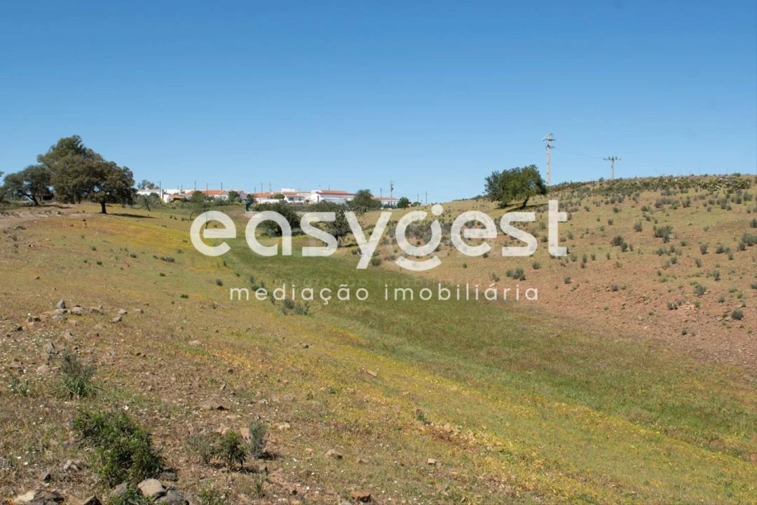 Terreno para Venda em Azinhal Foto 11