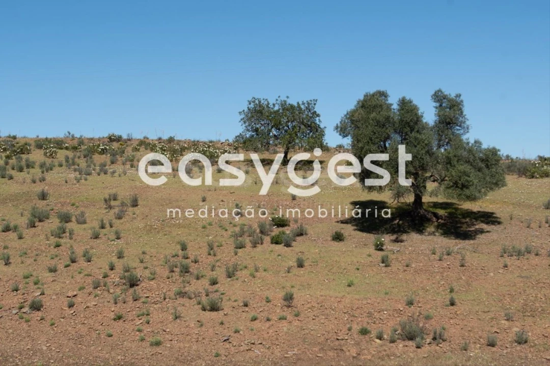 Terreno para Venda em Azinhal Foto 13