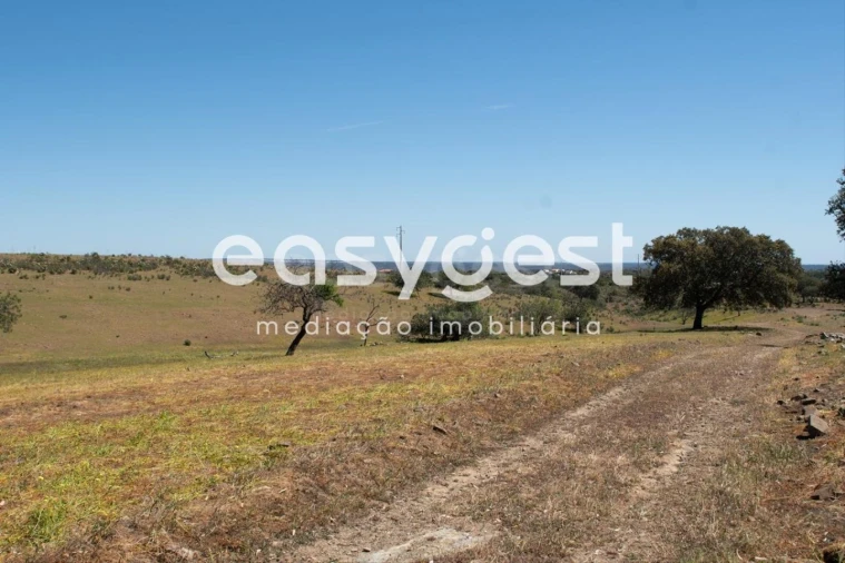 Terreno para Venda em Azinhal Foto 3