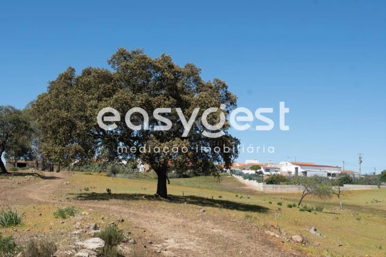 Terreno para Venda em Azinhal Foto 8