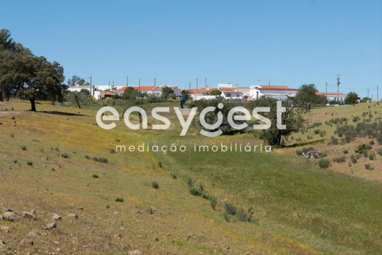 Terreno para Venda em Azinhal Foto 12