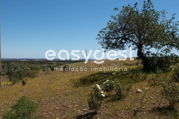 Terreno para Venda em Azinhal Foto 14