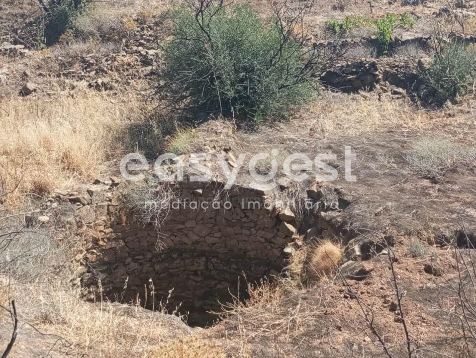 Terreno Agricola ou Rústico para Venda em Conceição e Cabanas de Tavira Foto 4