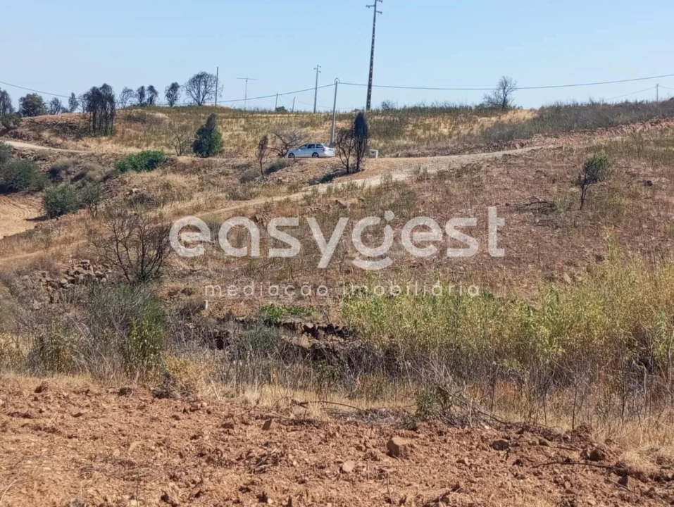 Terreno Agricola ou Rústico para Venda em Conceição e Cabanas de Tavira Foto 8