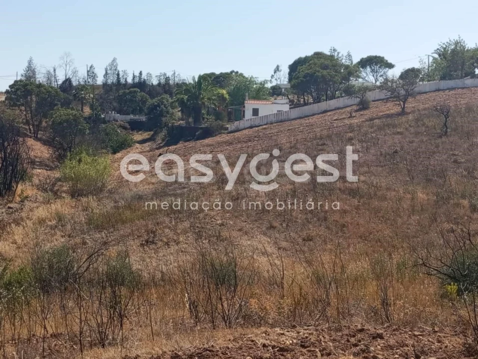 Terreno Agricola ou Rústico para Venda em Conceição e Cabanas de Tavira Foto 11