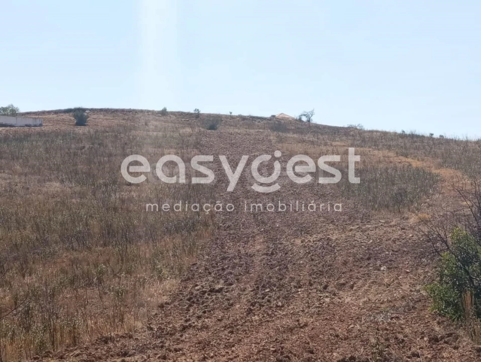 Terreno Agricola ou Rústico para Venda em Conceição e Cabanas de Tavira Foto 12