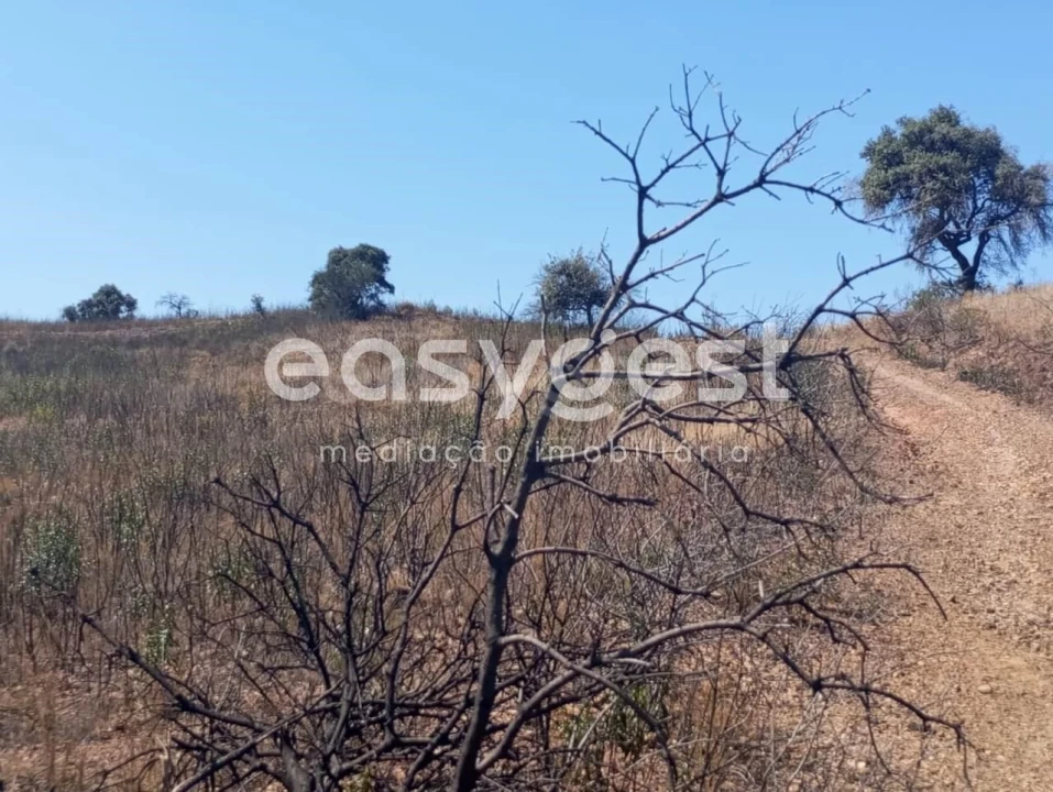 Terreno Agricola ou Rústico para Venda em Conceição e Cabanas de Tavira Foto 14