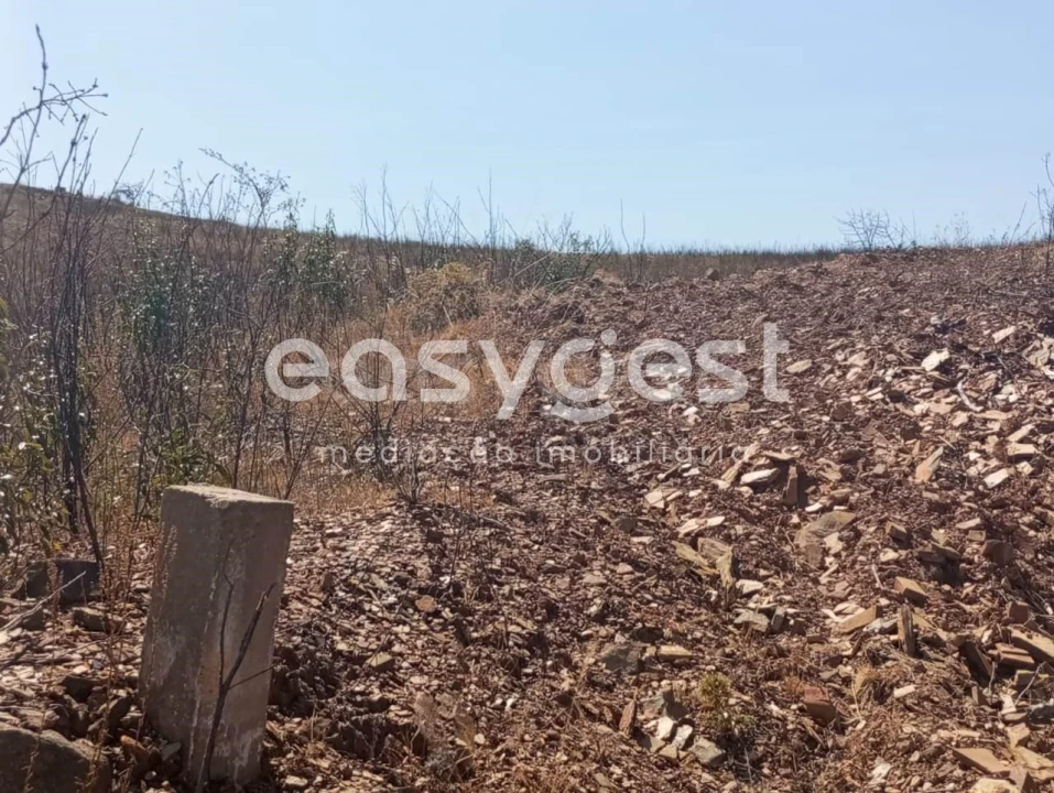 Terreno Agricola ou Rústico para Venda em Conceição e Cabanas de Tavira Foto 15