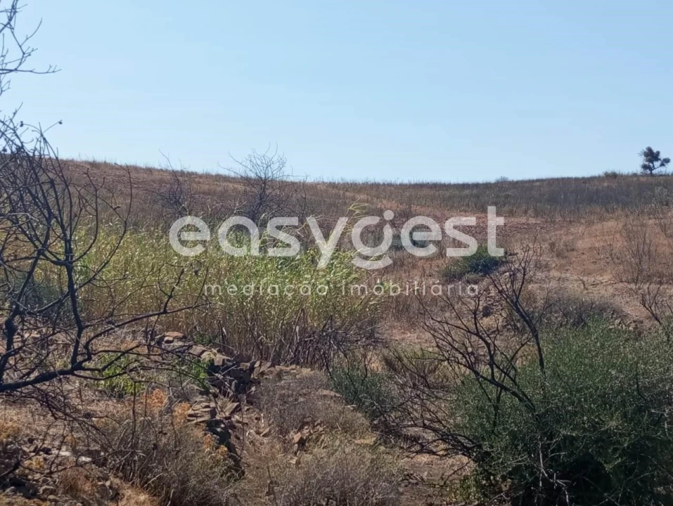 Terreno Agricola ou Rústico para Venda em Conceição e Cabanas de Tavira Foto 18